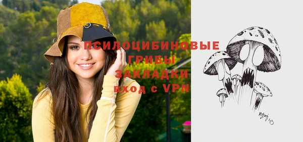 герыч Лагань
